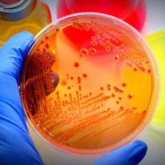 Two-compound EBX-001 Eliminates Bacteria Better Than Its Antibiotic Part Alone, Study Reports