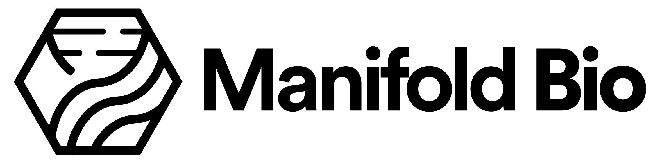 Manifold