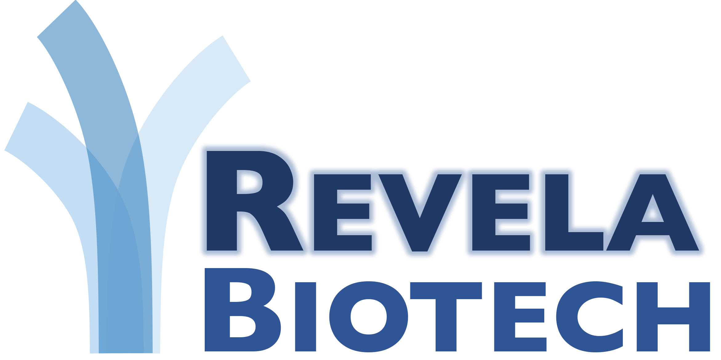 Revela logo